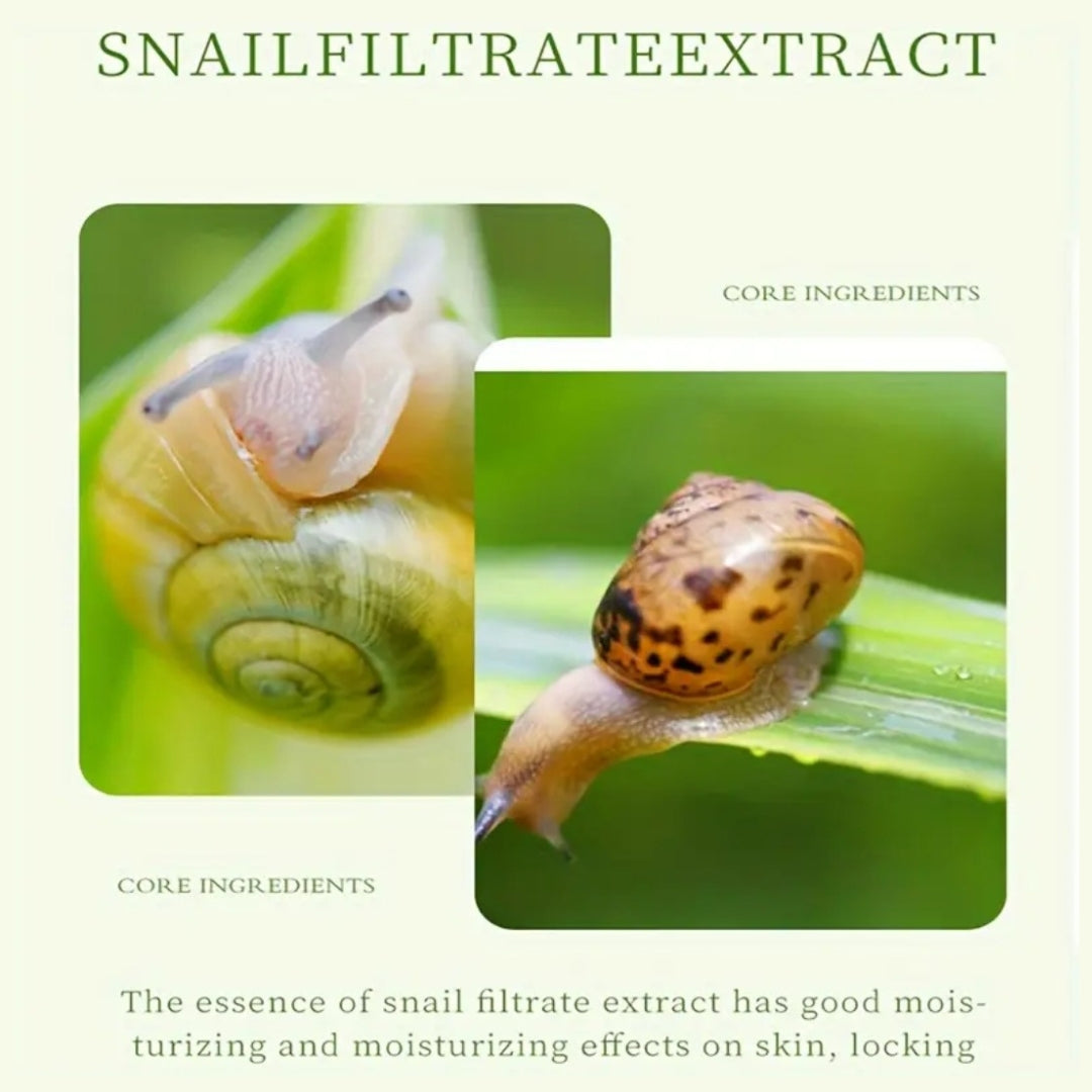 5 PCS Snail Essence Moisturizing Facial Sheet Mask